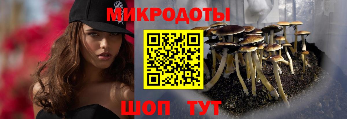Галлюциногенные грибы прущие грибы Клин